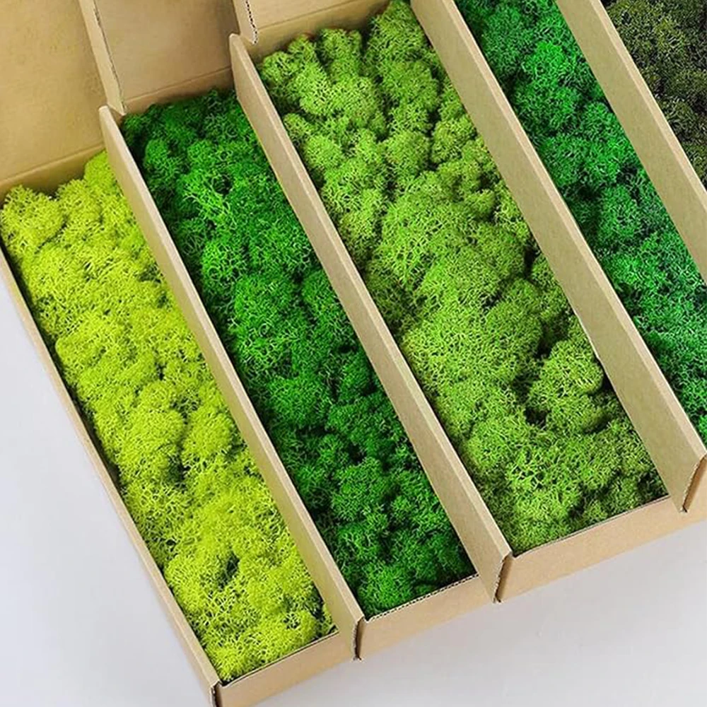 20-200 グラム人工緑の植物偽の草永遠の生活苔草家庭用リ - Terrarium Moss Art のレビューと価格