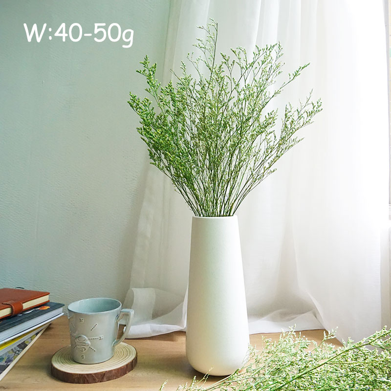 70g/プリザーブドバレンタイングラス リモニアフラワー ラ - Dried Flower Bulk のレビューと価格