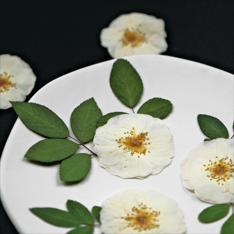 6個、9個、自然の白いバラの押し花 DIYクラフト ドライロ - Dried Flower Bulk のレビューと価格