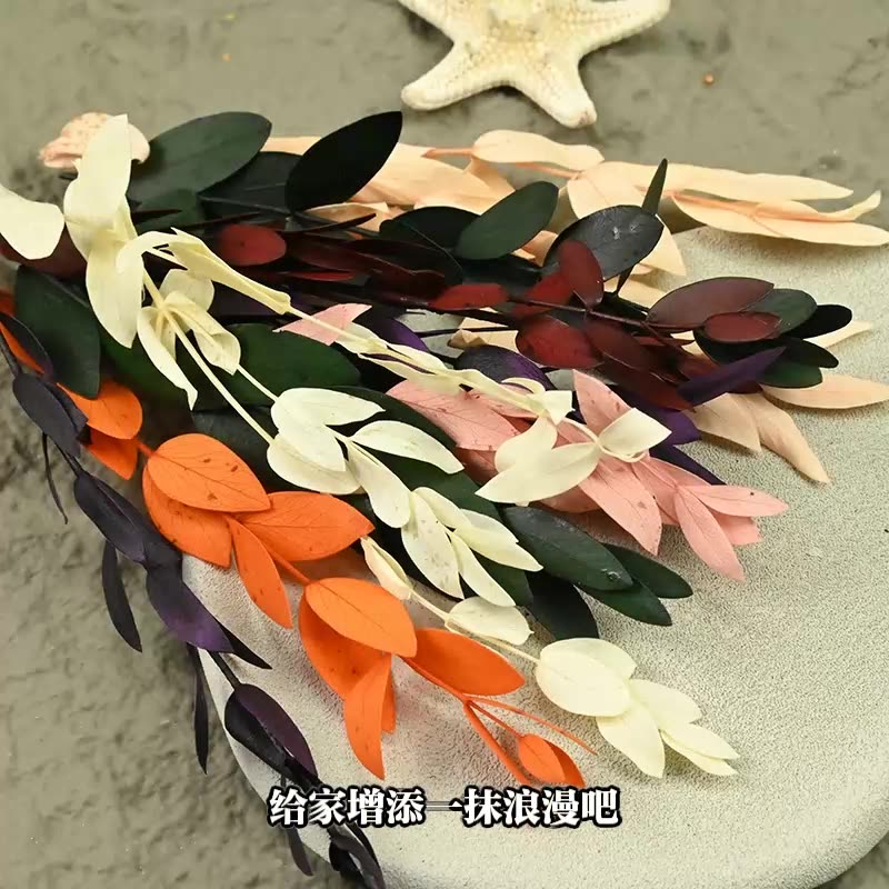ドライフラワー プリザーブドフラワー ホームオフィスデコ D - Flower Preservation Resin のレビューと価格